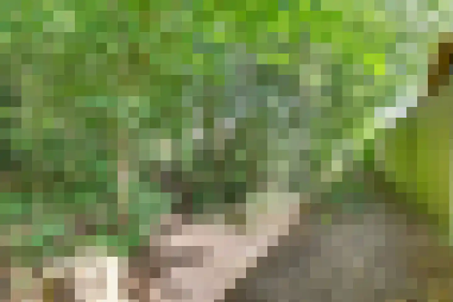 Hammarskjöldweg 41 Lochem thumbnail 37