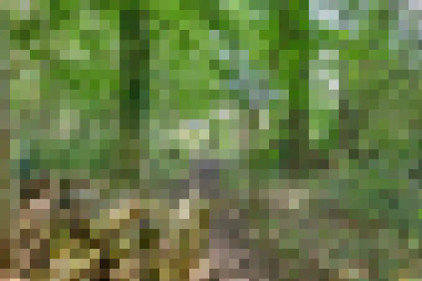 Hammarskjöldweg 41 Lochem thumbnail 38