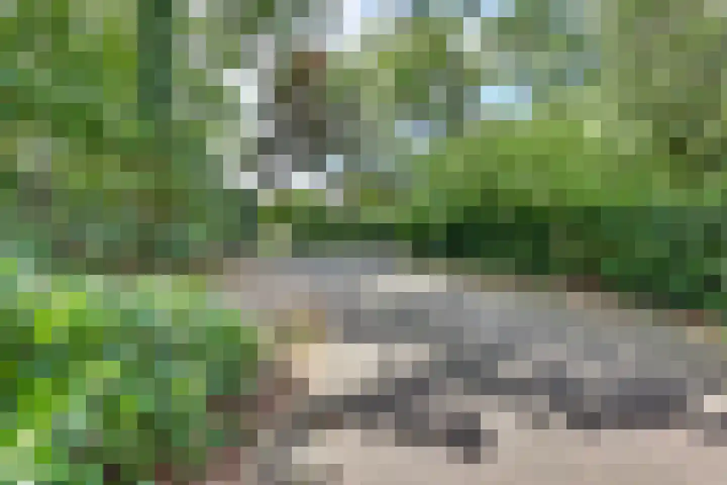 Hammarskjöldweg 41 Lochem thumbnail 44
