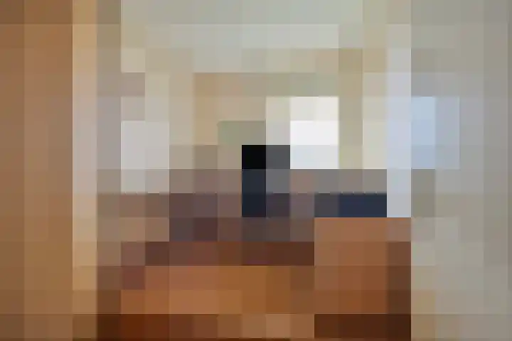 Hammepad 19 Oud-Beijerland thumbnail 31