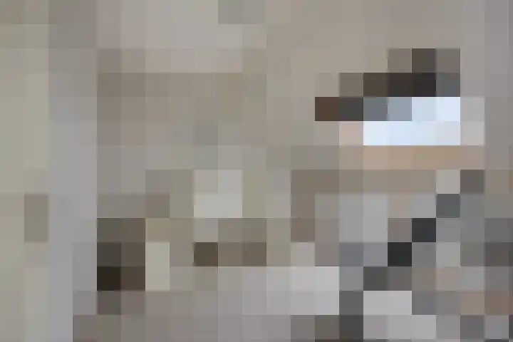 Hammepad 19 Oud-Beijerland thumbnail 37