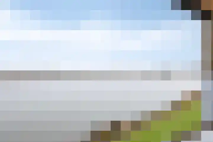 Hammepad 19 Oud-Beijerland thumbnail 39