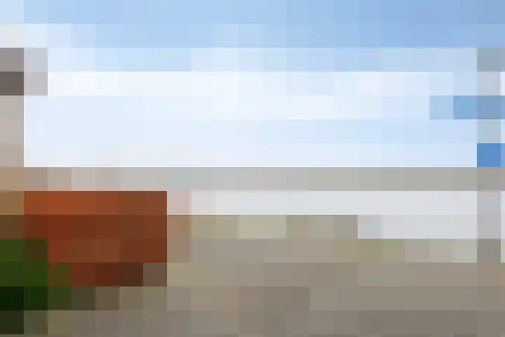 Hammepad 19 Oud-Beijerland thumbnail 45
