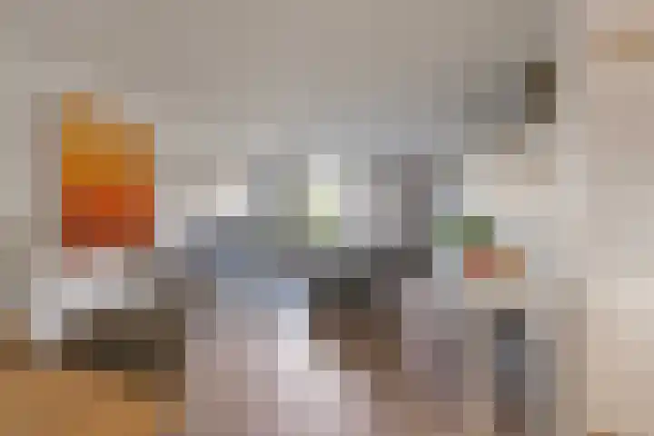 Hammerbeek 18 Tilburg thumbnail 10