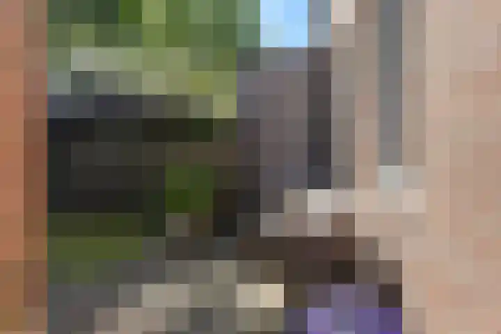 Hammerbeek 18 Tilburg thumbnail 29
