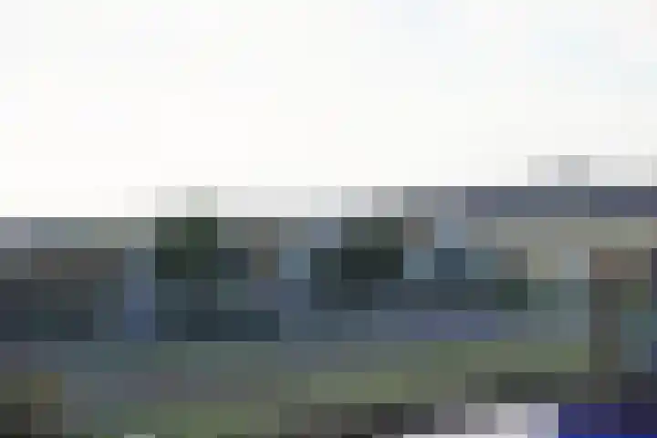 Hammerbeek 18 Tilburg thumbnail 4