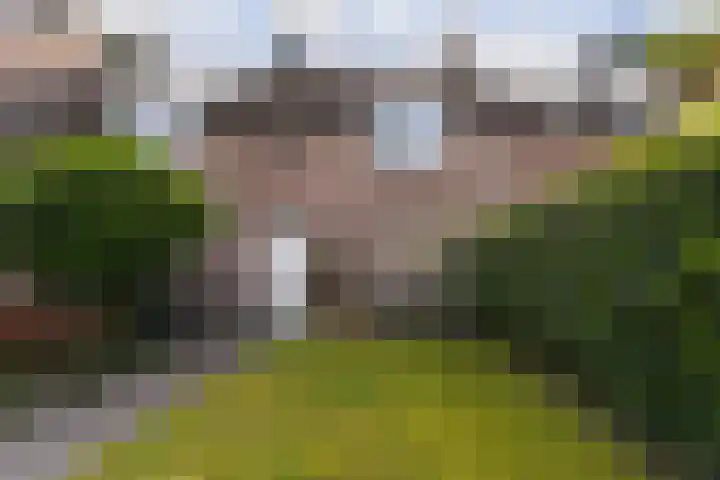 Hammerbeek 18 Tilburg thumbnail 4