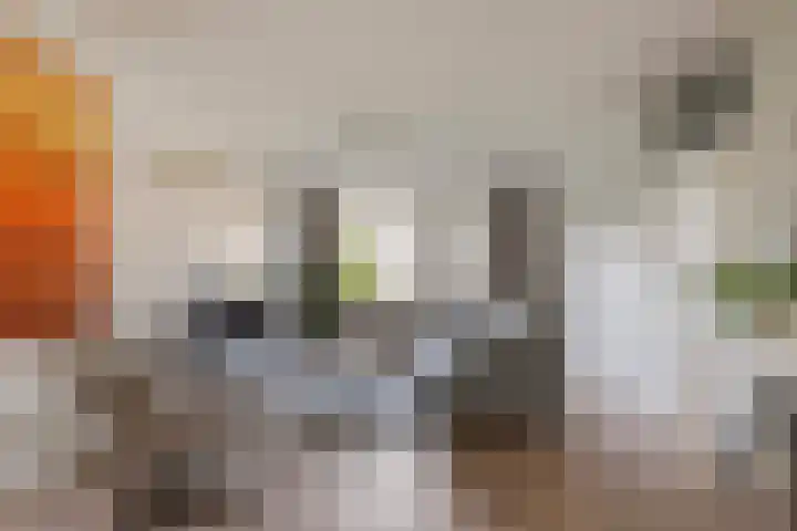 Hammerbeek 18 Tilburg thumbnail 9