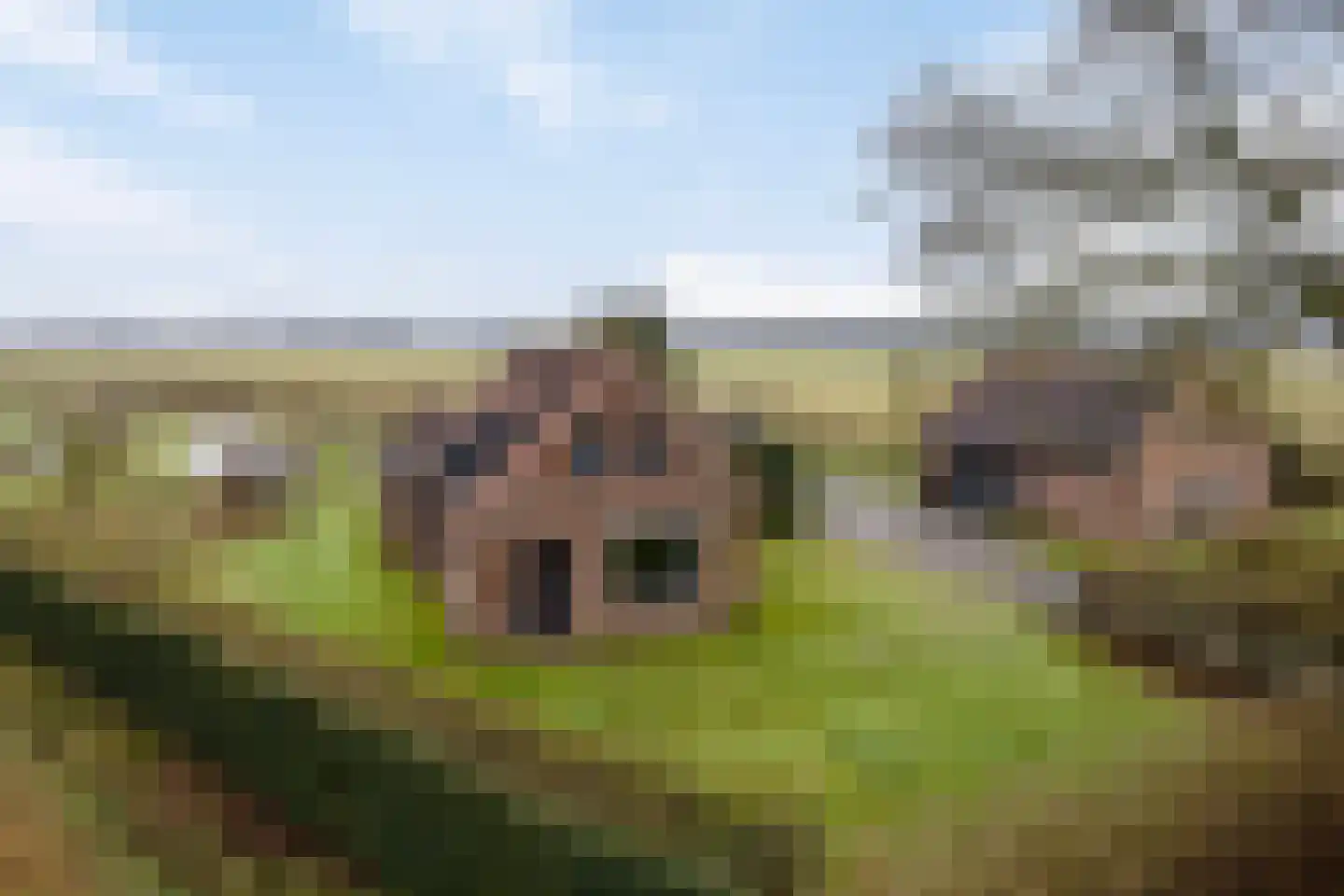 Hammerdijk 1 Sibculo
