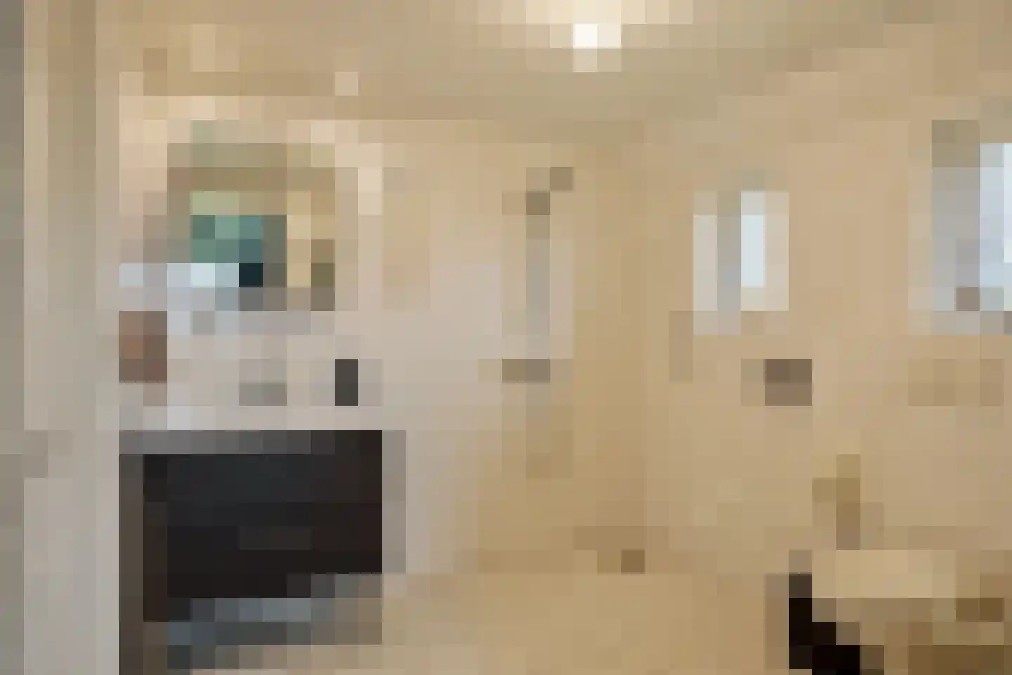Hammerdijk 1 Sibculo thumbnail 18