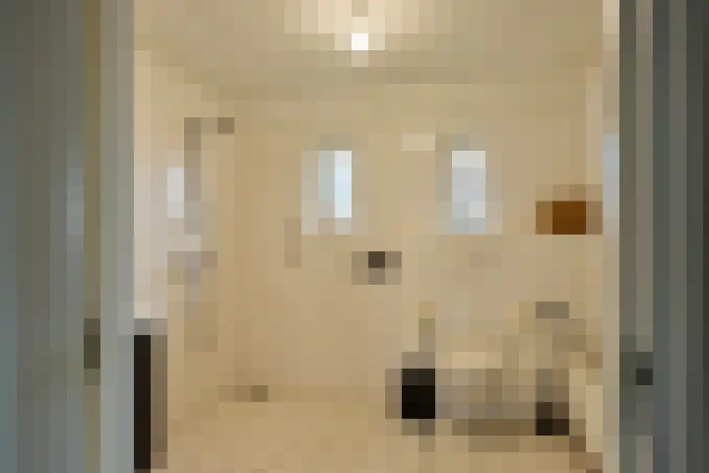 Hammerdijk 1 Sibculo thumbnail 19