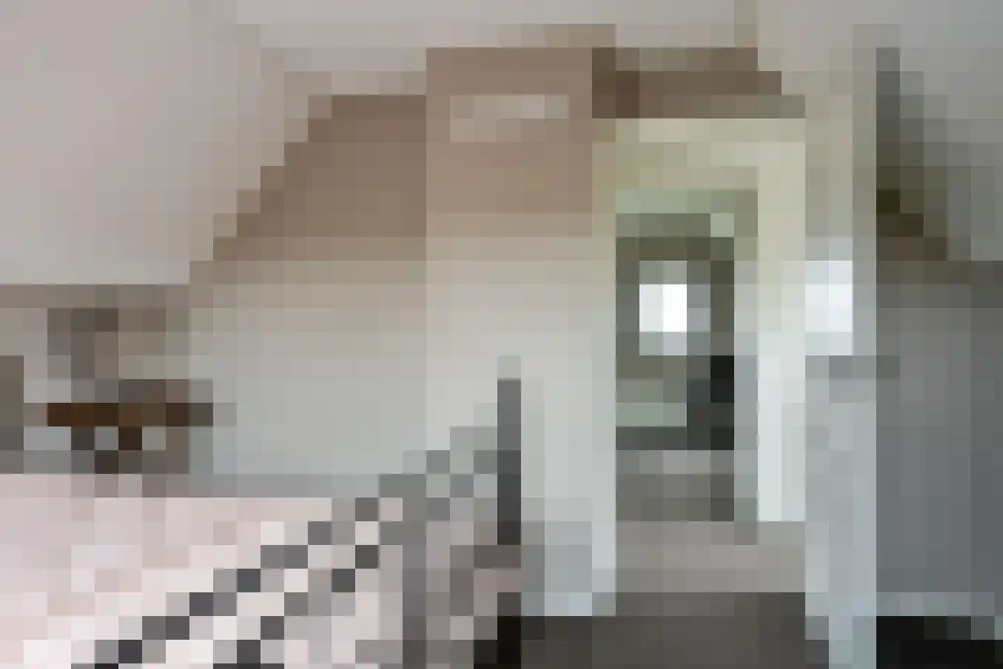 Hammerdijk 1 Sibculo thumbnail 30