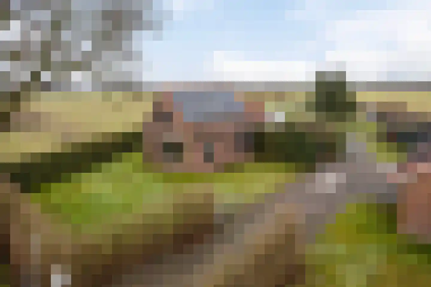 Hammerdijk 1 Sibculo thumbnail 32