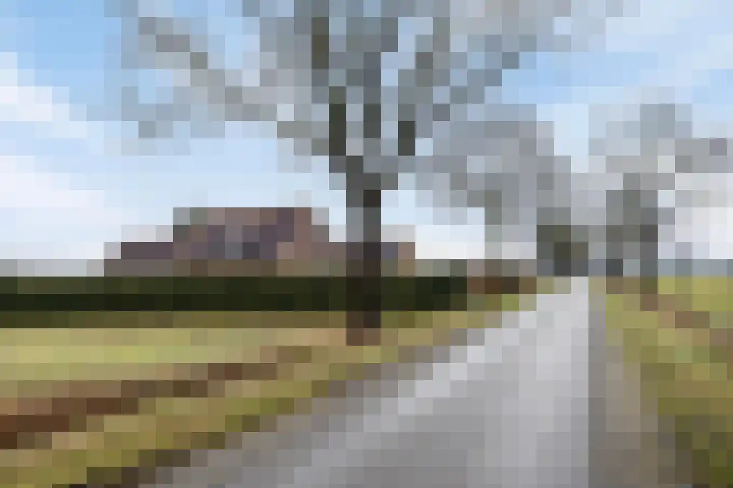 Hammerdijk 1 Sibculo thumbnail 33
