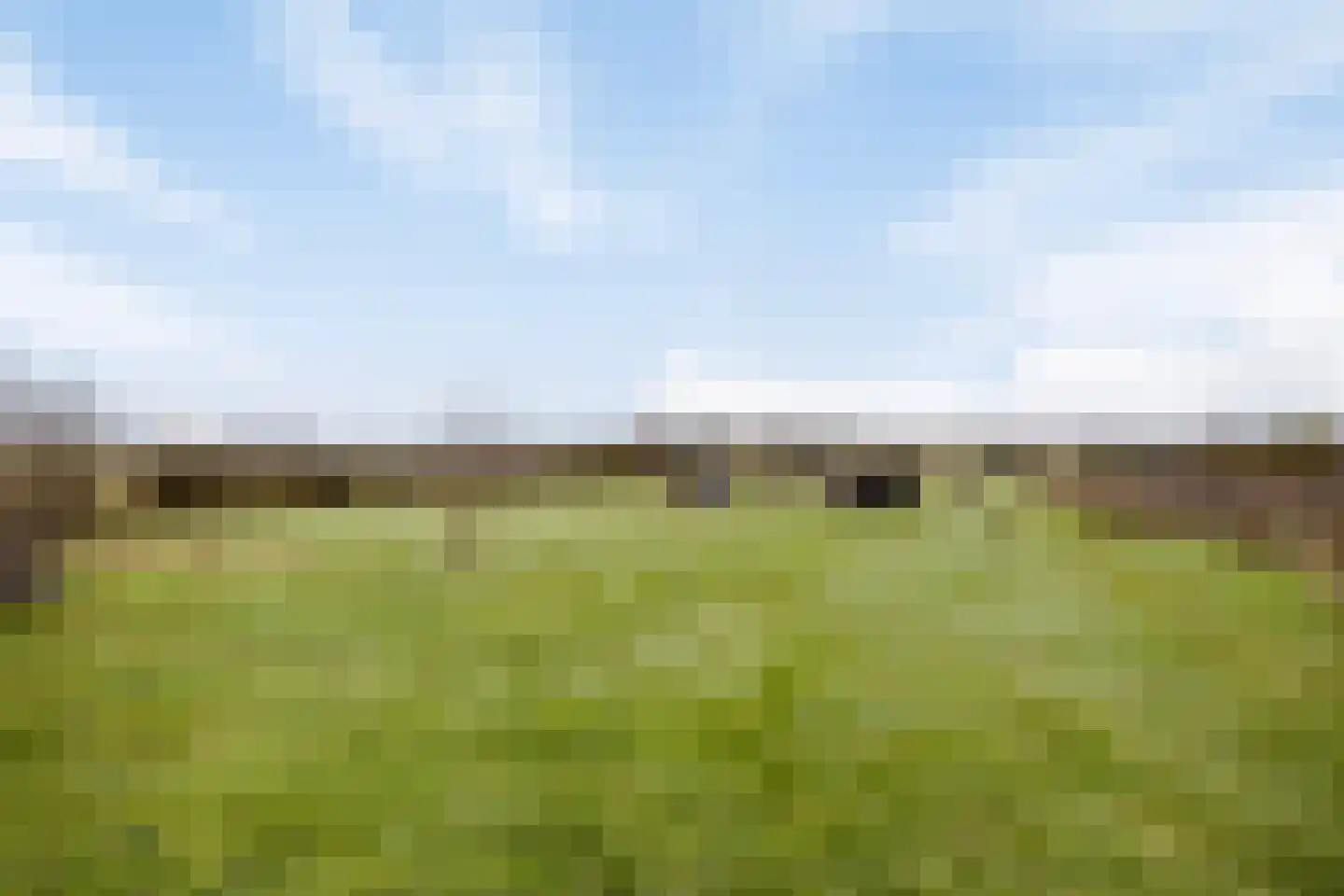 Hammerdijk 1 Sibculo thumbnail 52