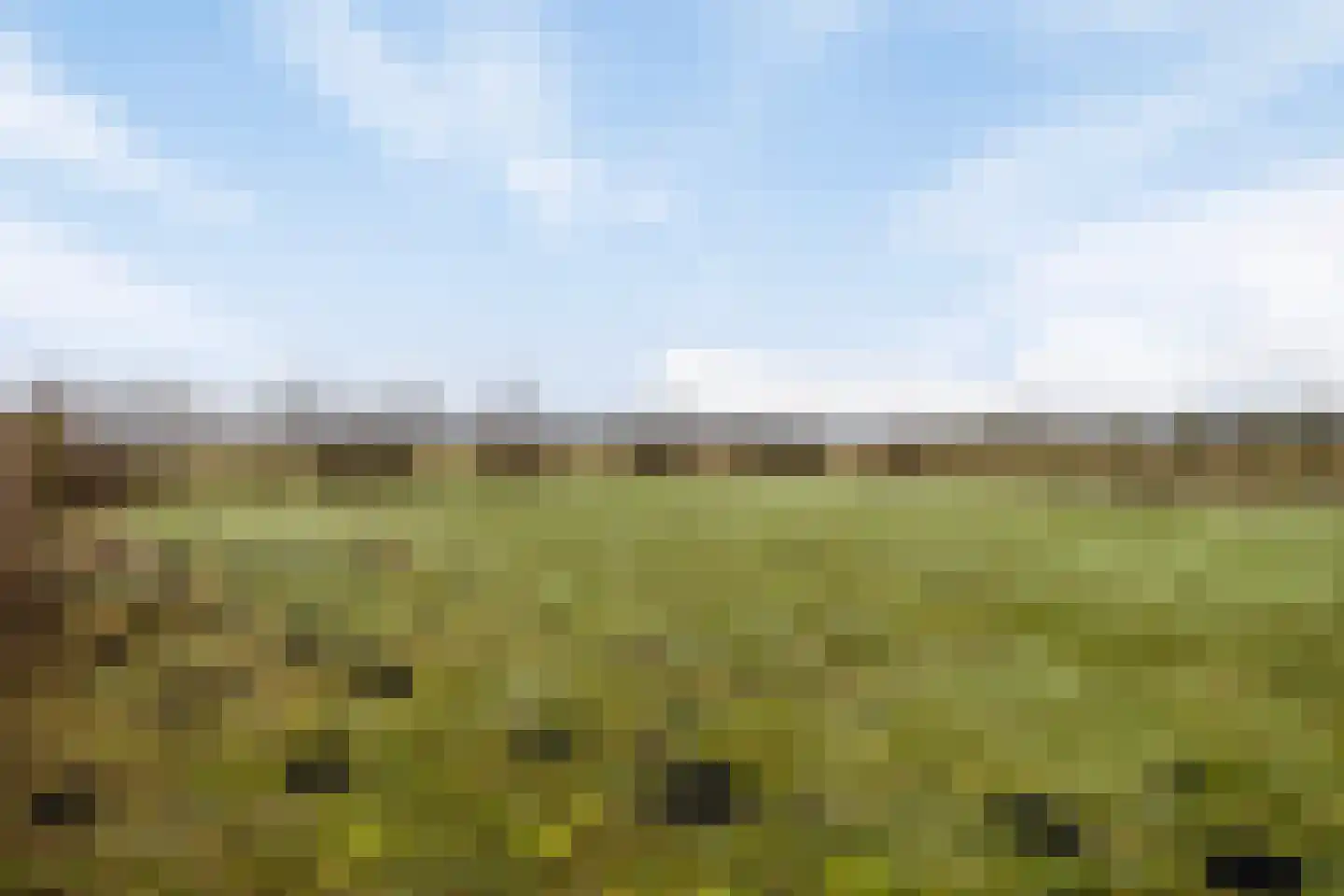 Hammerdijk 1 Sibculo thumbnail 53