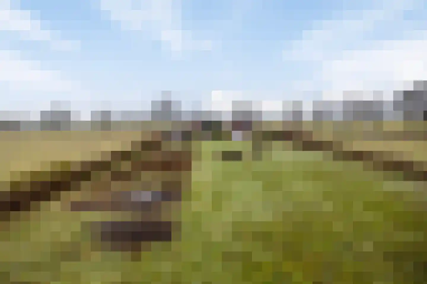 Hammerdijk 1 Sibculo thumbnail 59