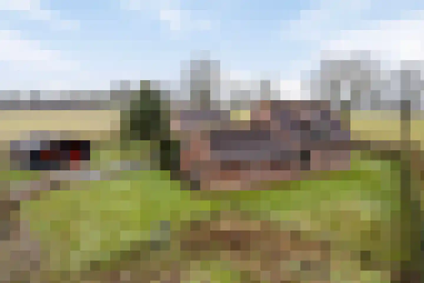 Hammerdijk 1 Sibculo thumbnail 60