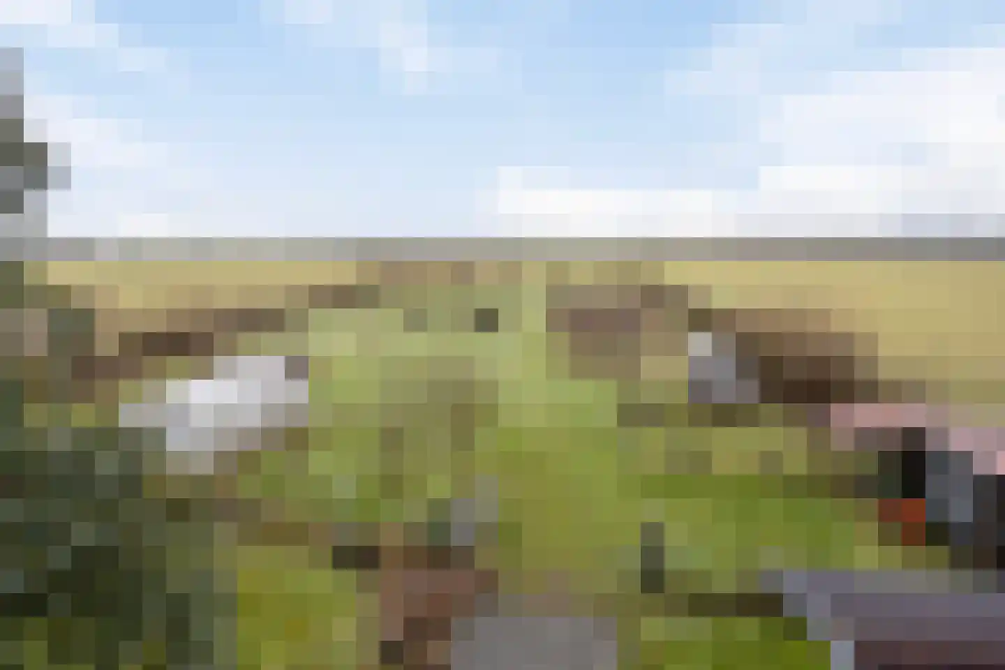 Hammerdijk 1 Sibculo thumbnail 62