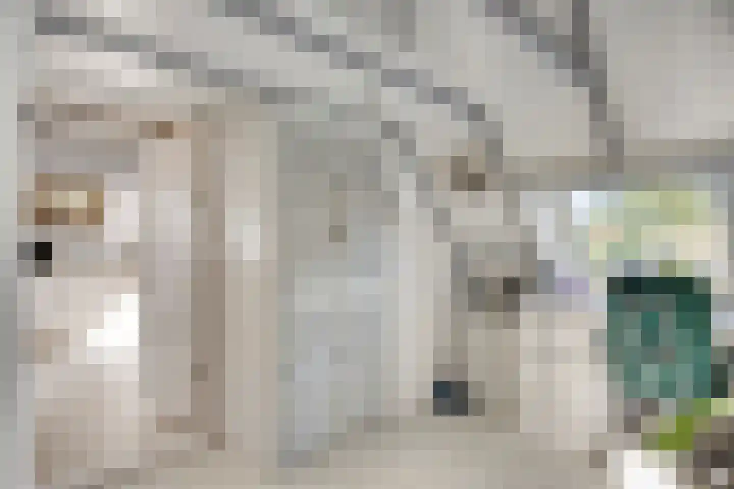 Hammerdijk 15 Blankenham thumbnail 17