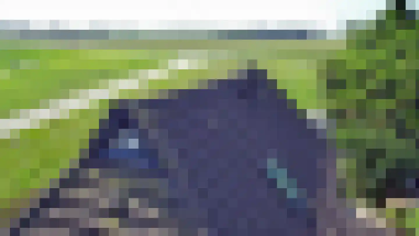 Hammerdijk 15 Blankenham thumbnail 21