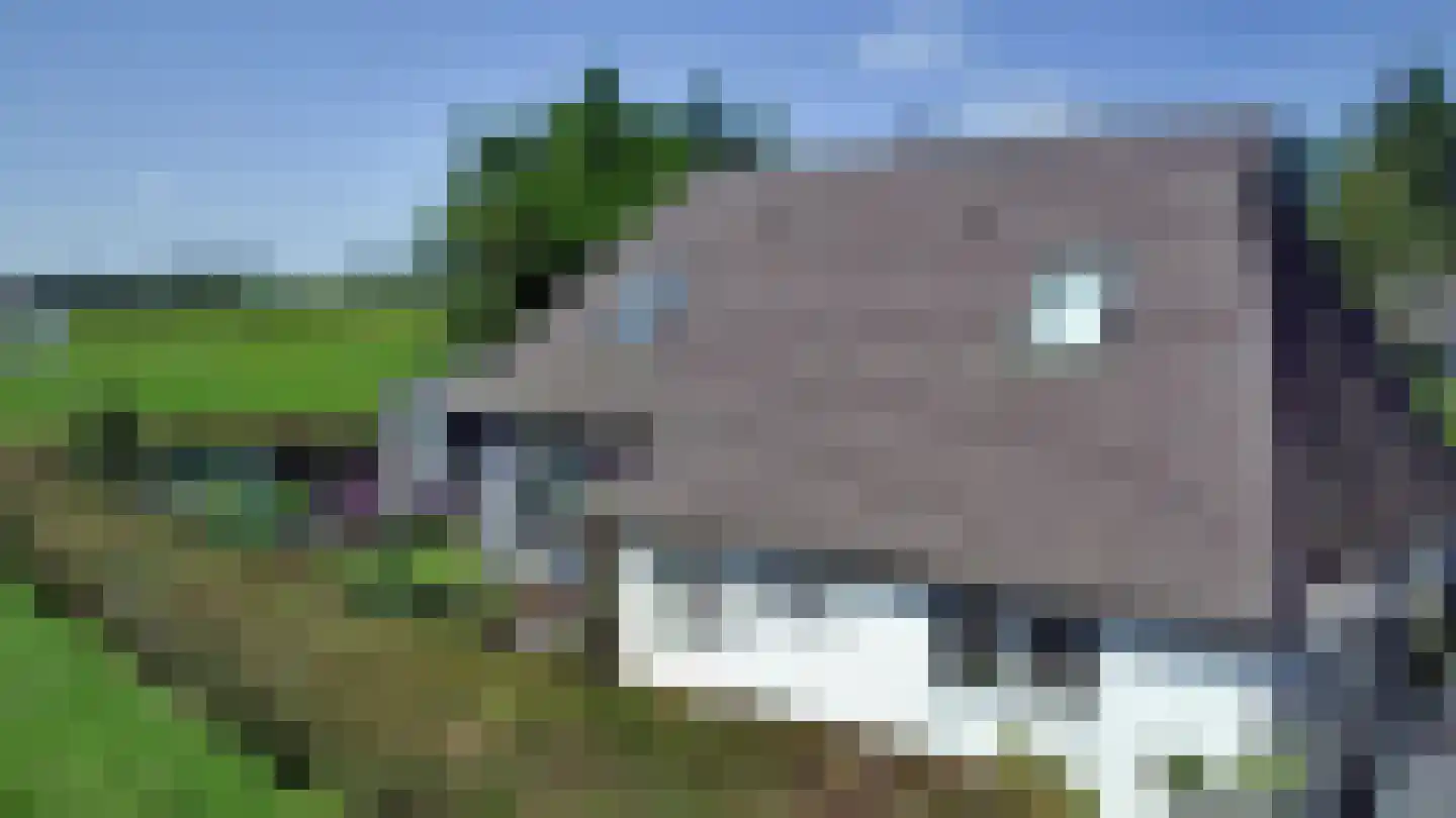 Hammerdijk 15 Blankenham thumbnail 22