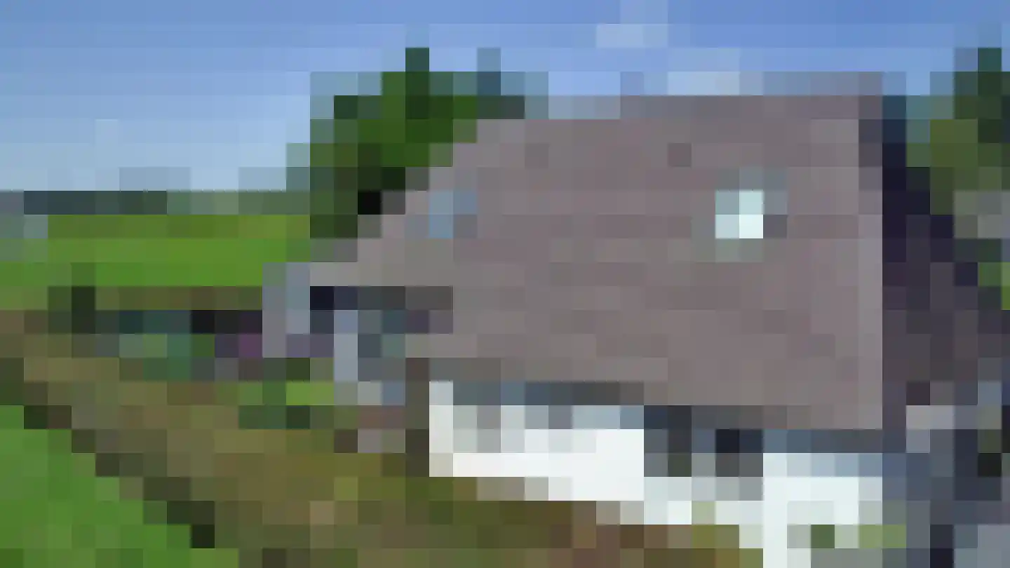 Hammerdijk 15 Blankenham thumbnail 22