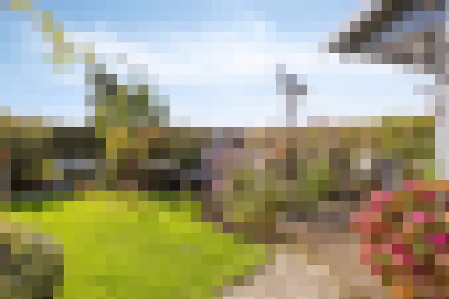 Hammerdijk 15 Blankenham thumbnail 31