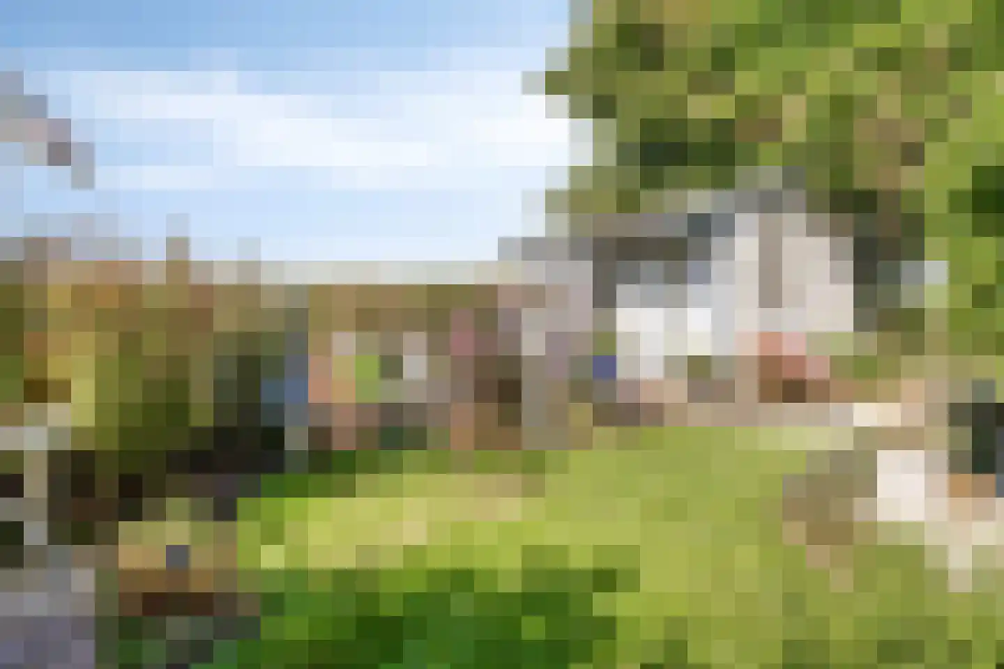 Hammerdijk 15 Blankenham thumbnail 39