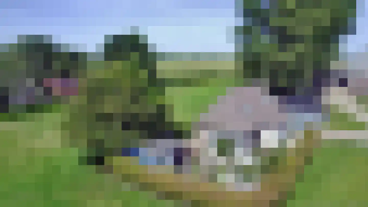 Hammerdijk 15 Blankenham thumbnail 49