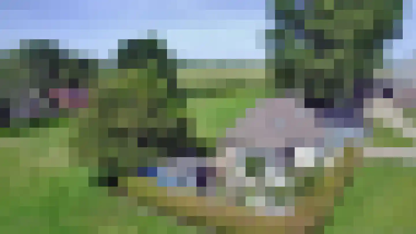 Hammerdijk 15 Blankenham thumbnail 49