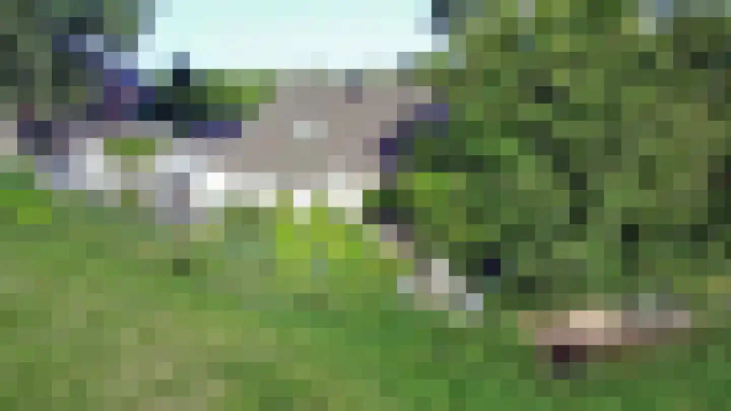 Hammerdijk 15 Blankenham thumbnail 53