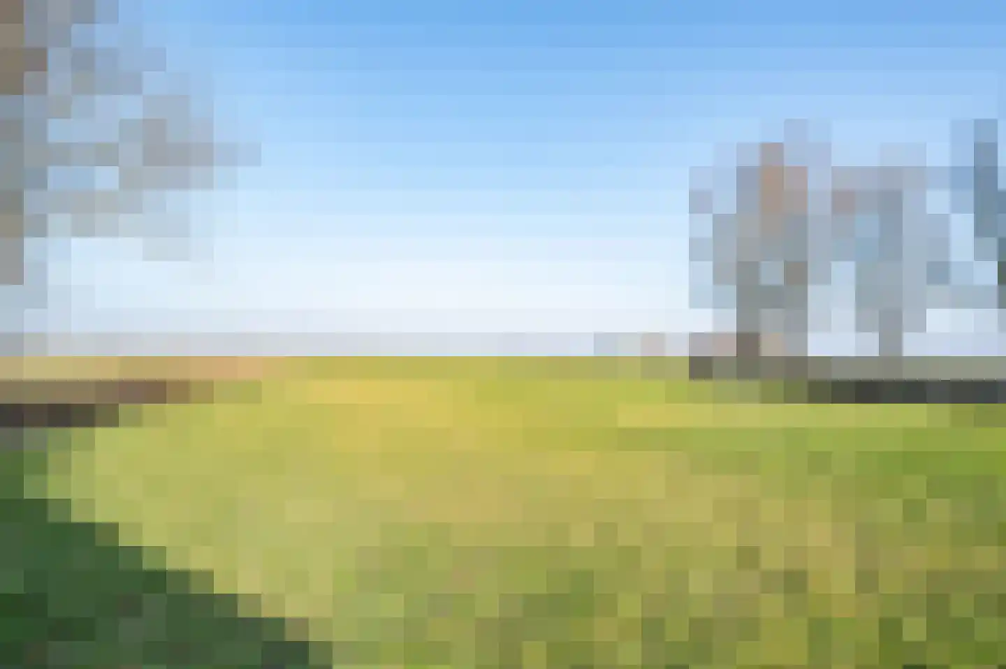 Hammerdijk 21 Blankenham thumbnail 33