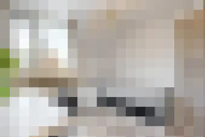 Hammerdreef 20 Maasland thumbnail 23