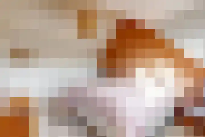 Hammerdreef 20 Maasland thumbnail 33
