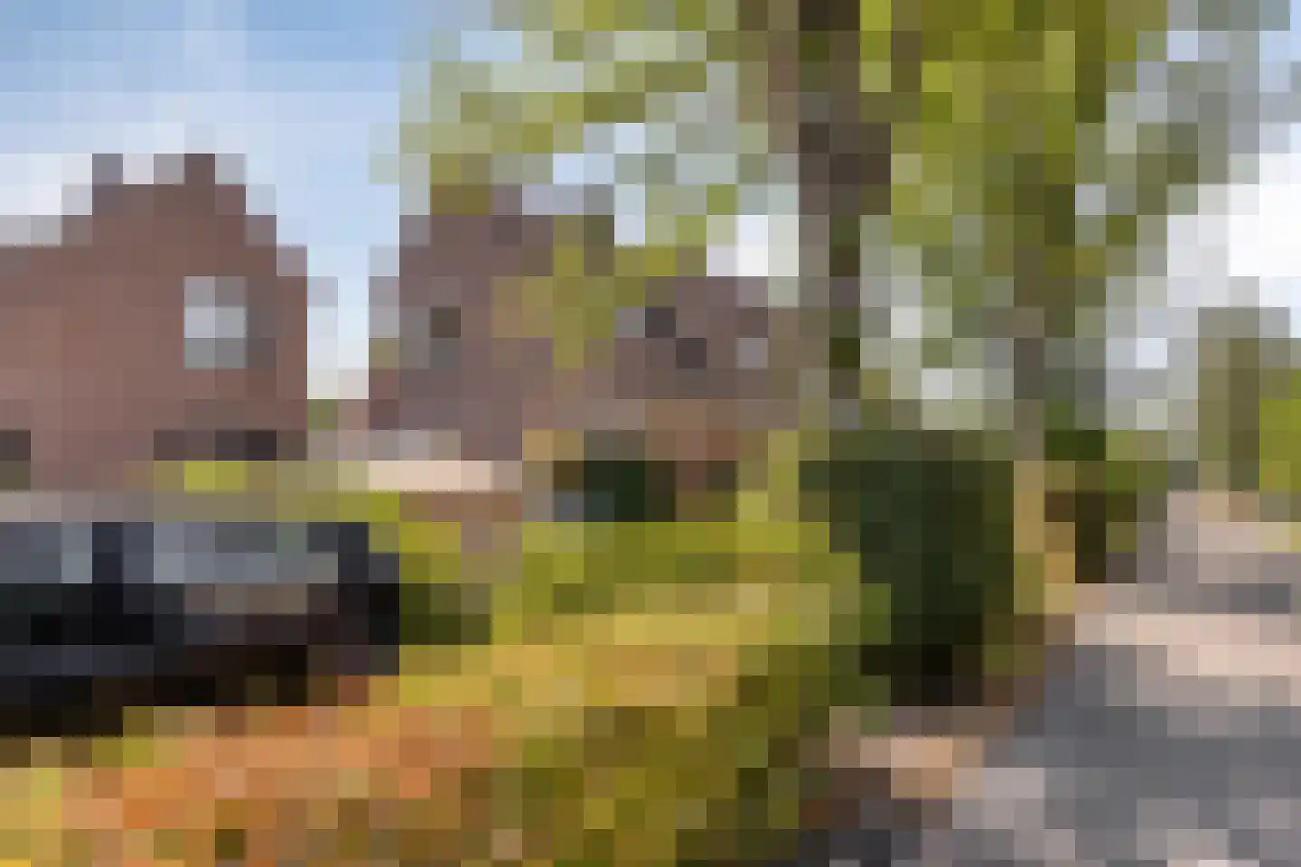 Hammerdreef 8 Maasland thumbnail 34