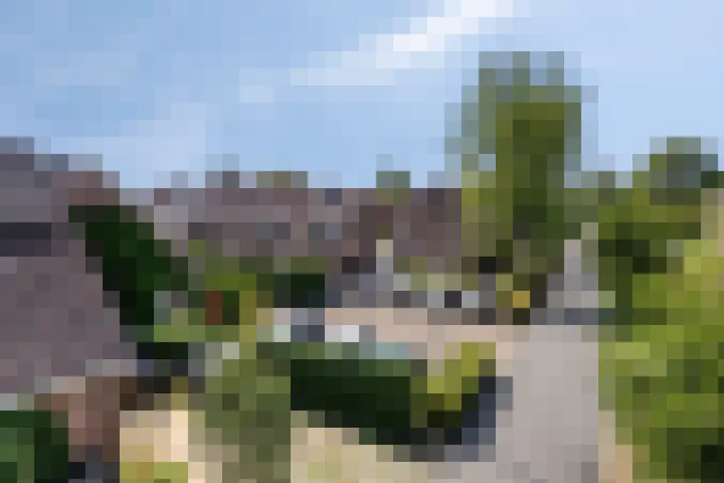Hammerdreef 8 Maasland thumbnail 37