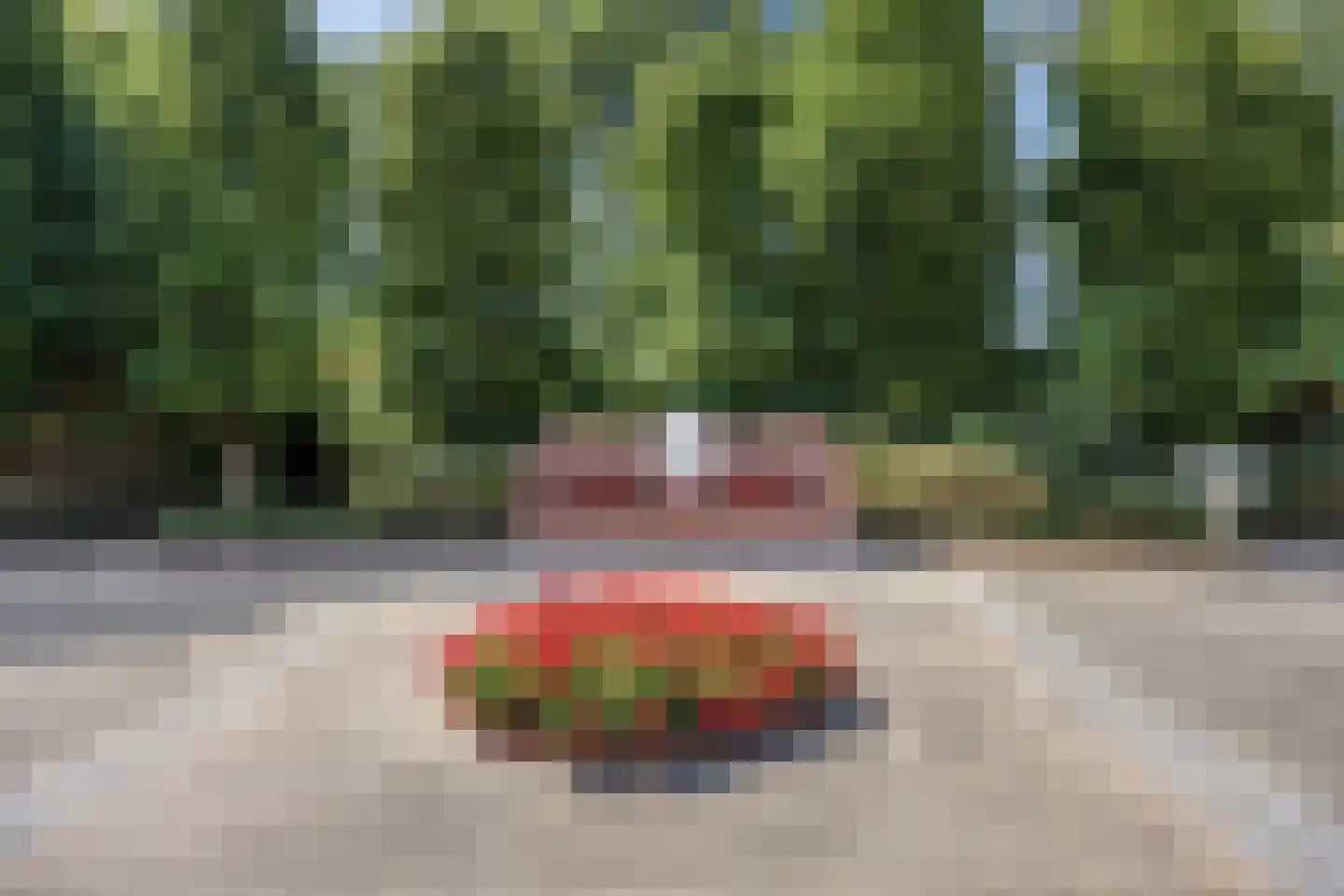 Hammerdreef 8 Maasland thumbnail 42