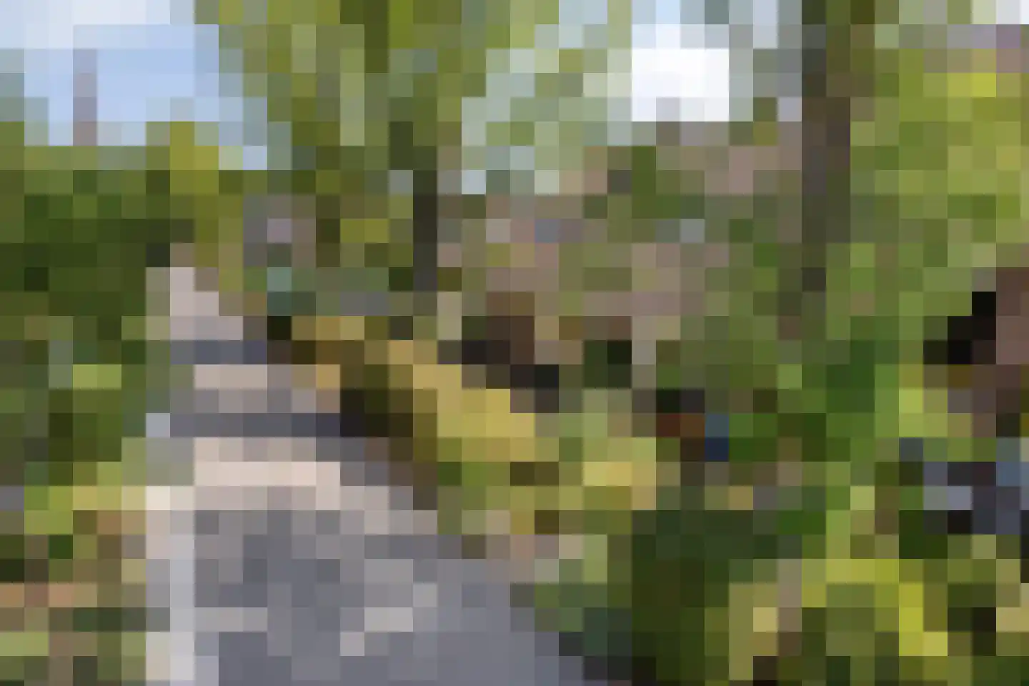 Hammerdreef 8 Maasland thumbnail 6