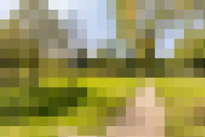 Hammerfestlaan 1 Puttershoek thumbnail 10