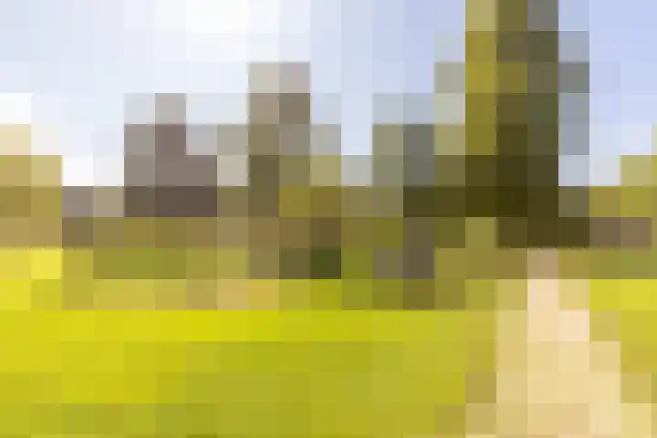 Hammerfestlaan 1 Puttershoek thumbnail 12