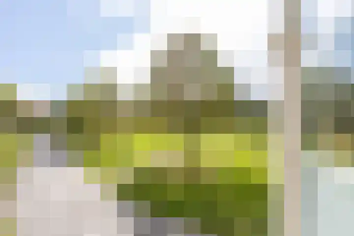 Hammerfestlaan 1 Puttershoek thumbnail 31
