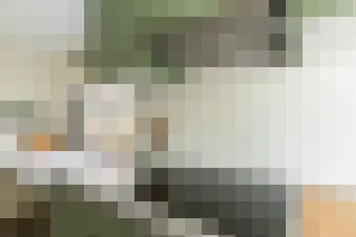Hammerfestlaan 1 Puttershoek thumbnail 33