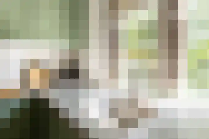 Hammerfestlaan 1 Puttershoek thumbnail 34
