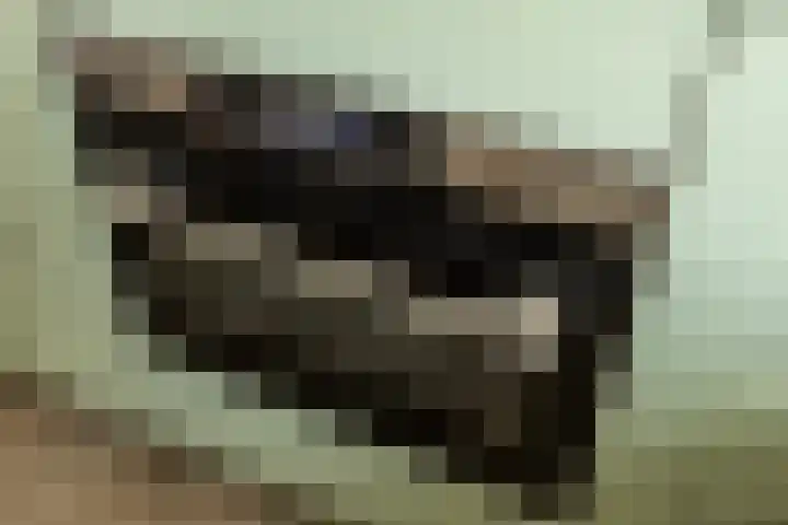 Hammerfestlaan 1 Puttershoek thumbnail 35
