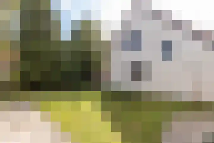 Hammerfestlaan 1 Puttershoek thumbnail 4