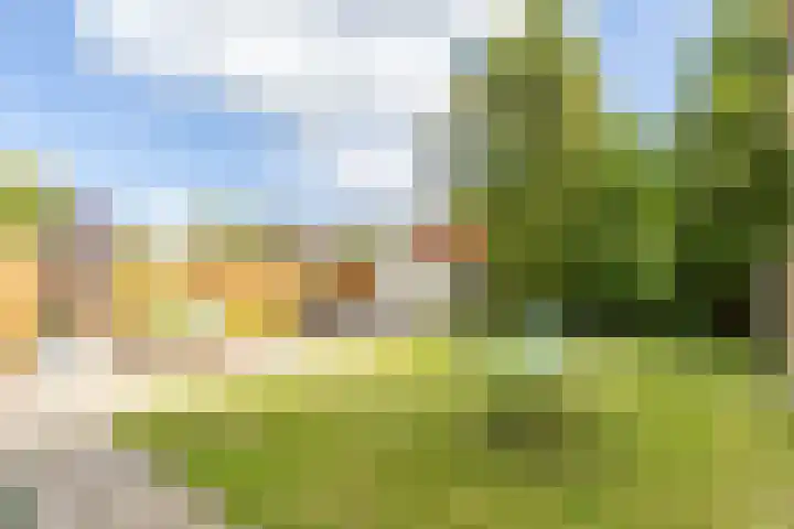 Hammerfestlaan 1 Puttershoek thumbnail 6