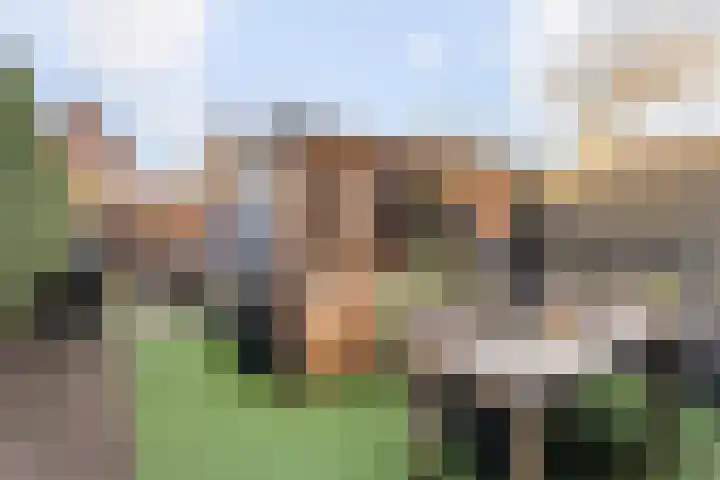 Hammerfeststraat 33 Hengelo thumbnail 17