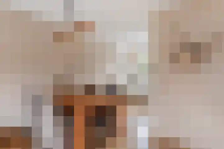 Hammerfeststraat 33 Hengelo thumbnail 9