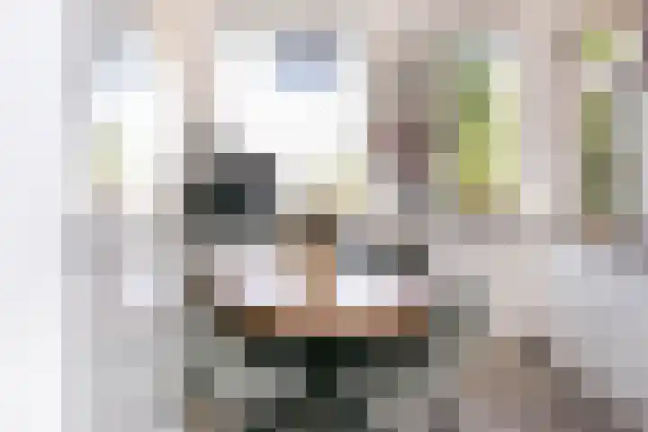 Hammerfeststraat 48 Rotterdam thumbnail 10